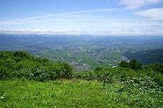 東根山