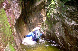 金目川本流左俣沢2