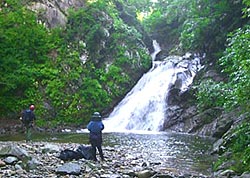 金目川本流右俣・魚止の滝