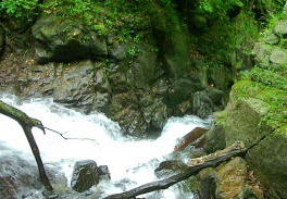 葛根田支流・大松倉沢