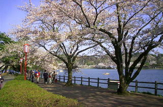 高松の池