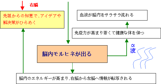 右脳の効果