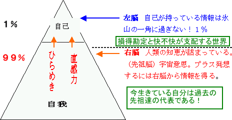 左脳と右脳の違い