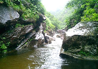 金目川本流左俣１