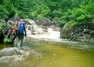 金目川本流左俣２