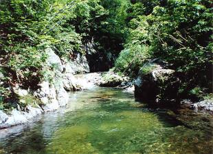 恋ノ岐川2