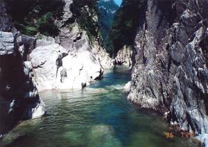 早出川本流1
