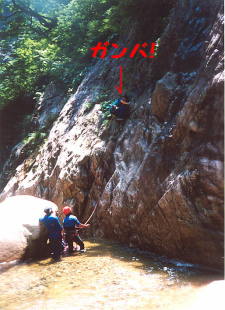 早出川・中杉川3