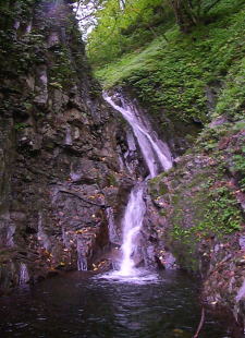 鳴虫沢1