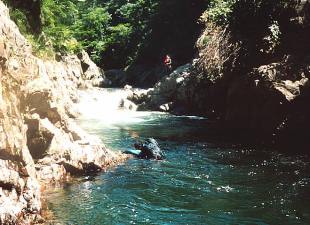 奥利根・利根川本谷１