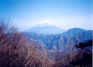 御坂山塊・横沢