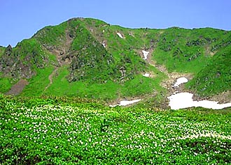 秋田駒ケ岳