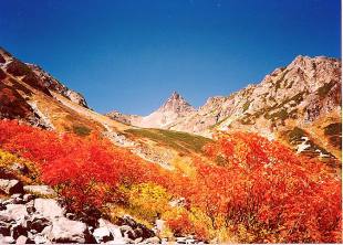 紅葉の槍ケ岳